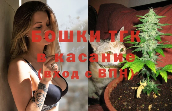 бошки Аркадак