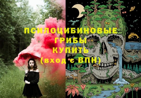 первитин Армянск